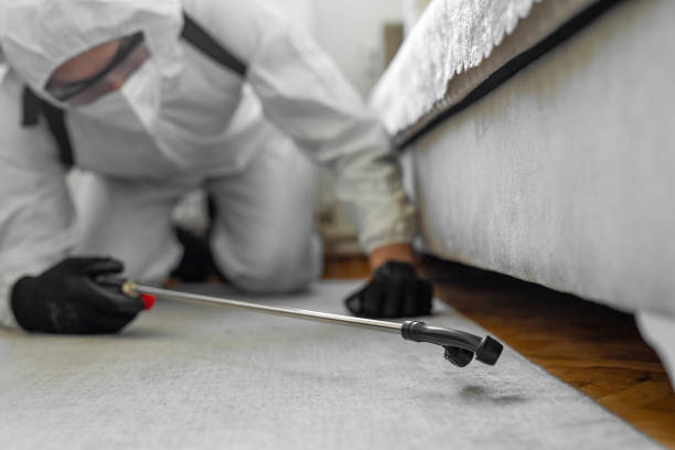 Professional Cockroach Control technician working in Samoset, FL